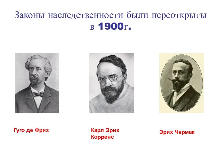 Законы наследственности были переоткрыты в 1900г. Гуго де Фриз Карл Эрих Корренс Эрих Чермак