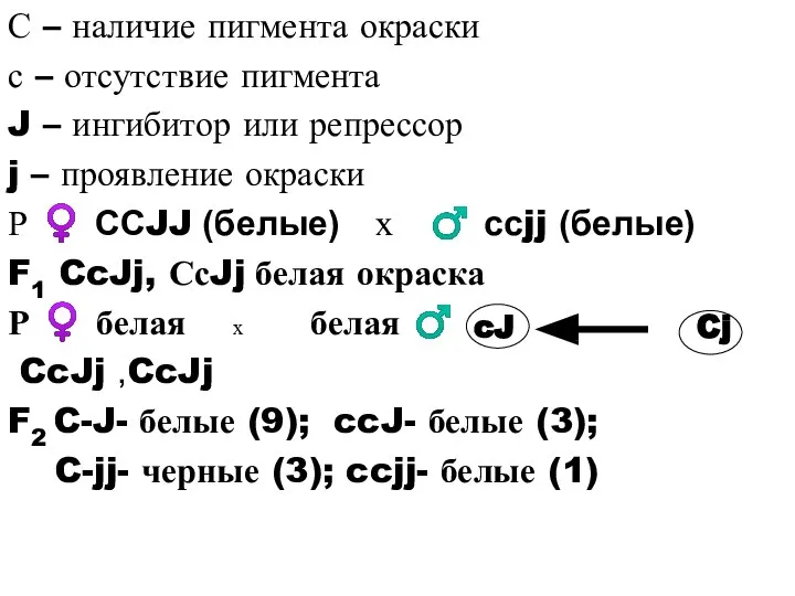 С – наличие пигмента окраски с – отсутствие пигмента J – ингибитор