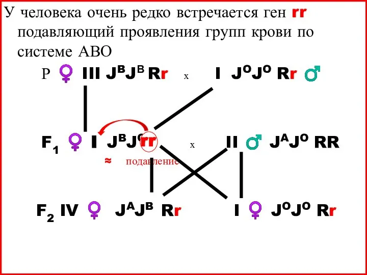 У человека очень редко встречается ген rr подавляющий проявления групп крови по