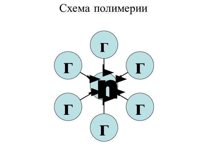 Схема полимерии