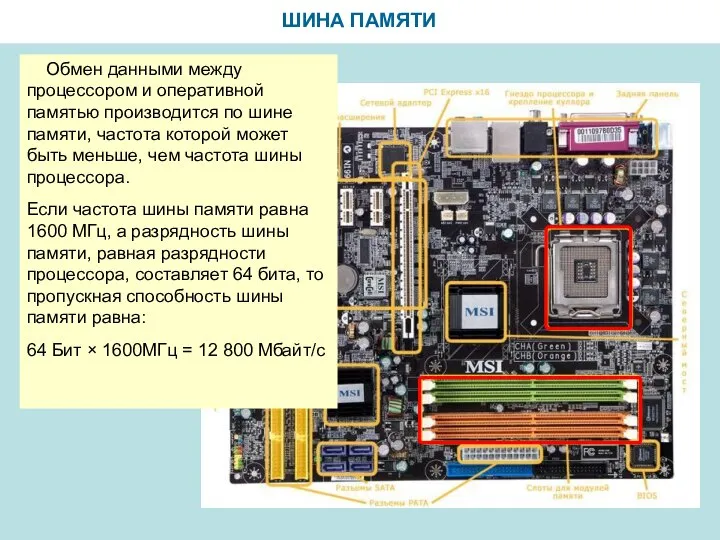 ШИНА ПАМЯТИ Обмен данными между процессором и оперативной памятью производится по шине