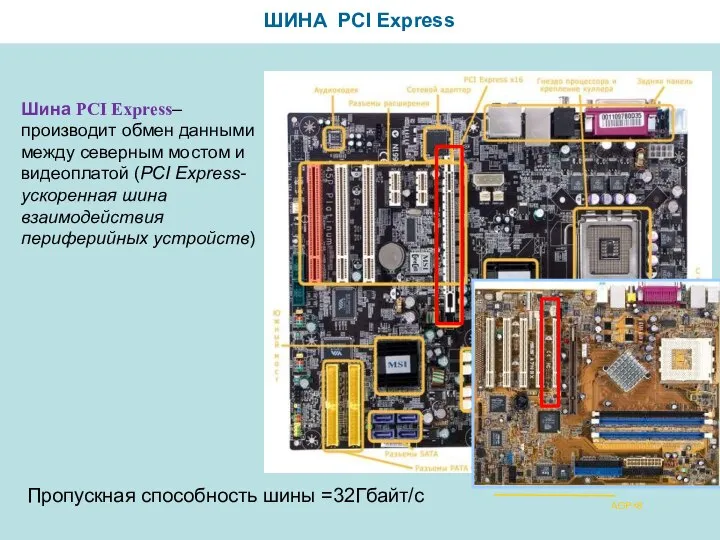 ШИНА PCI Express AGP×8 Шина PCI Express– производит обмен данными между северным