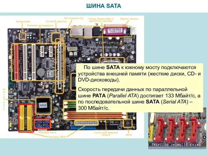 ШИНА SATA По шине SАТА к южному мосту подключаются устройства внешней памяти