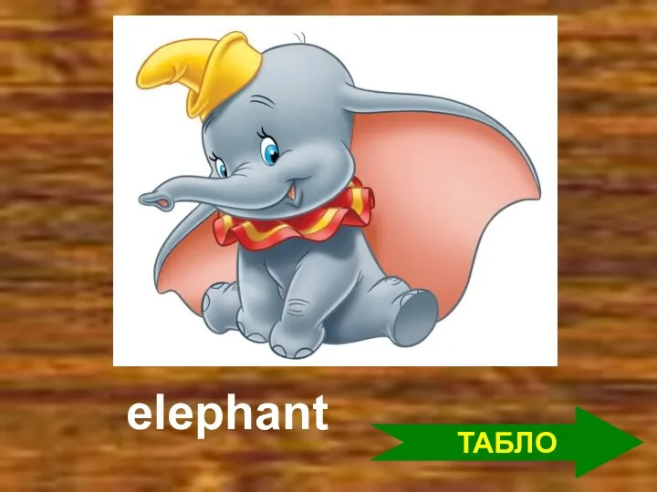 elephant ТАБЛО