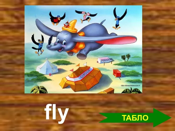 ТАБЛО fly