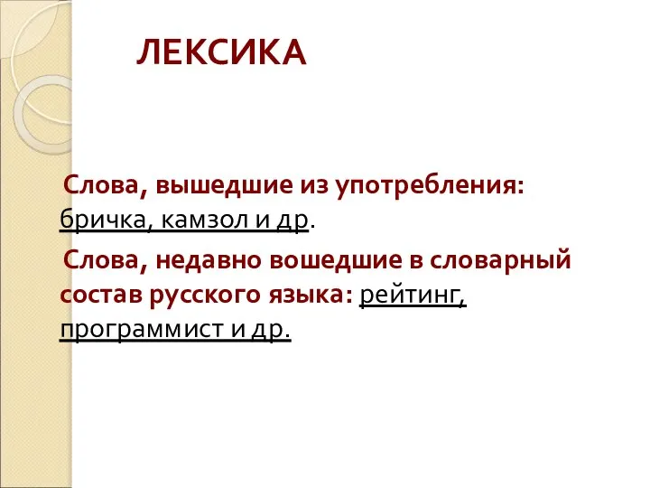 ЛЕКСИКА Слова, вышедшие из употребления: бричка, камзол и др. Слова, недавно вошедшие