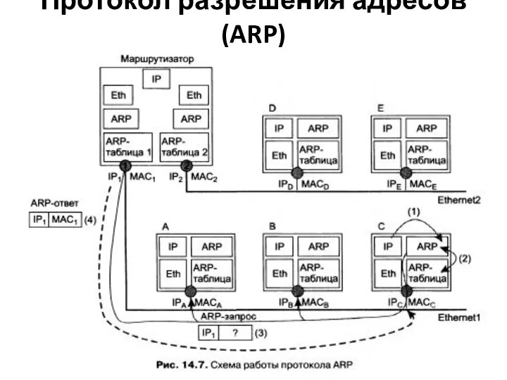 Протокол разрешения адресов (ARP)