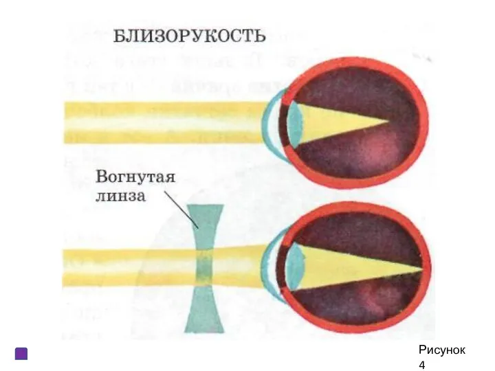 Рисунок 4