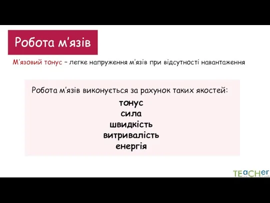 Робота м’язів М’язовий тонус – легке напруження м’язів при відсутності навантаження