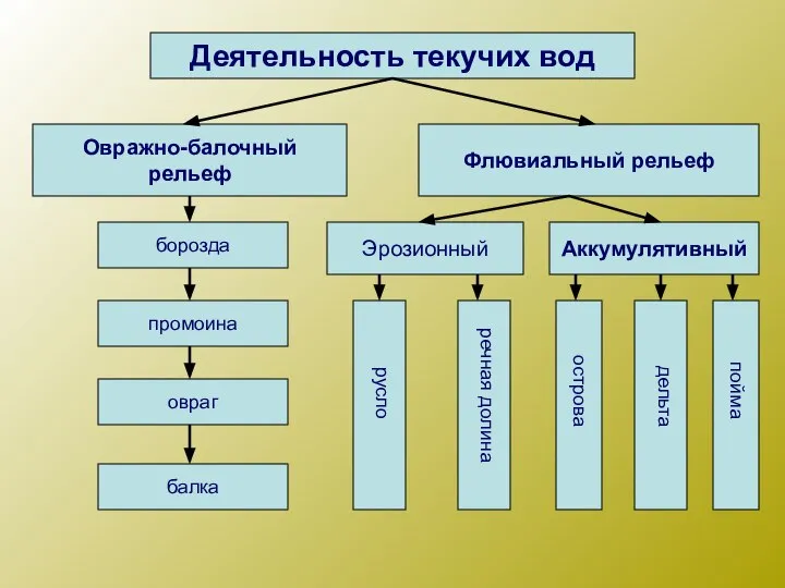 Деятельность текучих вод Овражно-балочный рельеф Флювиальный рельеф борозда промоина овраг балка Эрозионный