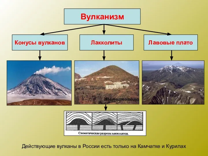 Вулканизм Конусы вулканов Лакколиты Лавовые плато Действующие вулканы в России есть только на Камчатке и Курилах