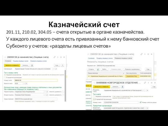 Казначейский счет 201.11, 210.02, 304.05 – счета открытые в органе казначейства. У