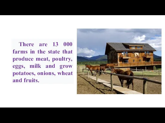 There are 13 000 farms in the state that produce meat, poultry,