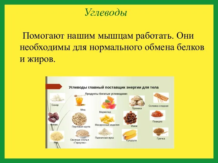 Углеводы Помогают нашим мышцам работать. Они необходимы для нормального обмена белков и жиров.