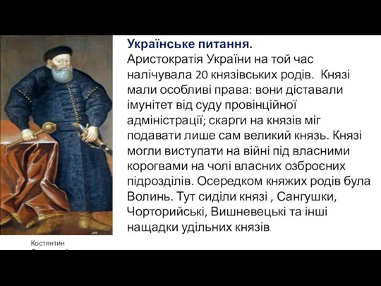 Українське питання. Аристократія України на той час налічувала 20 князівських родів. Князі