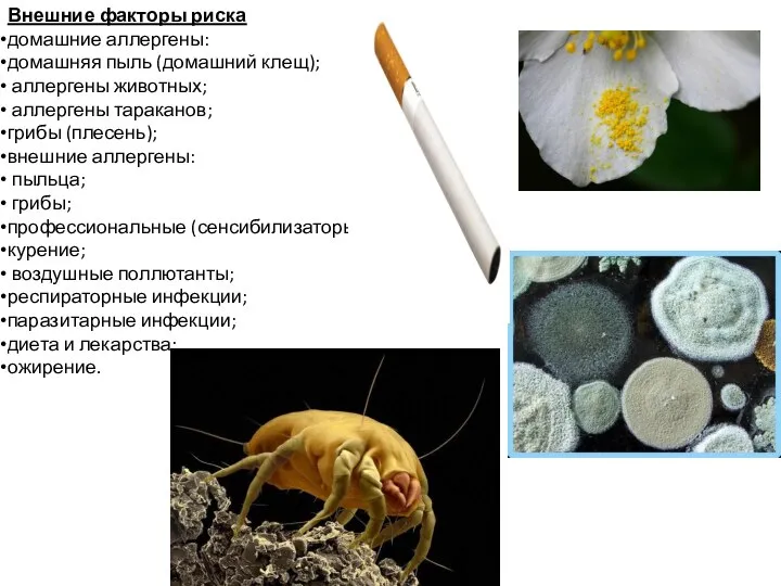 Внешние факторы риска домашние аллергены: домашняя пыль (домашний клещ); аллергены животных; аллергены