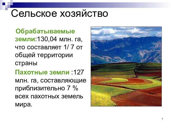 Сельское хозяйство Обрабатываемые земли:130,04 млн. га, что составляет 1/ 7 от общей