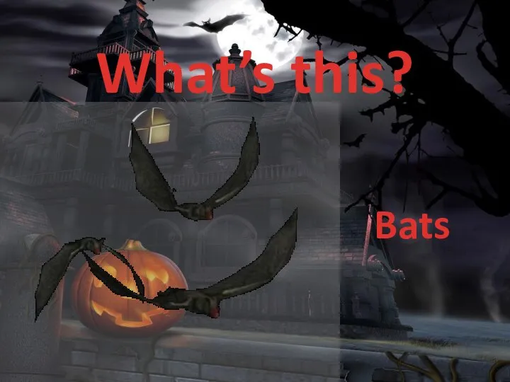 What’s this? Bats