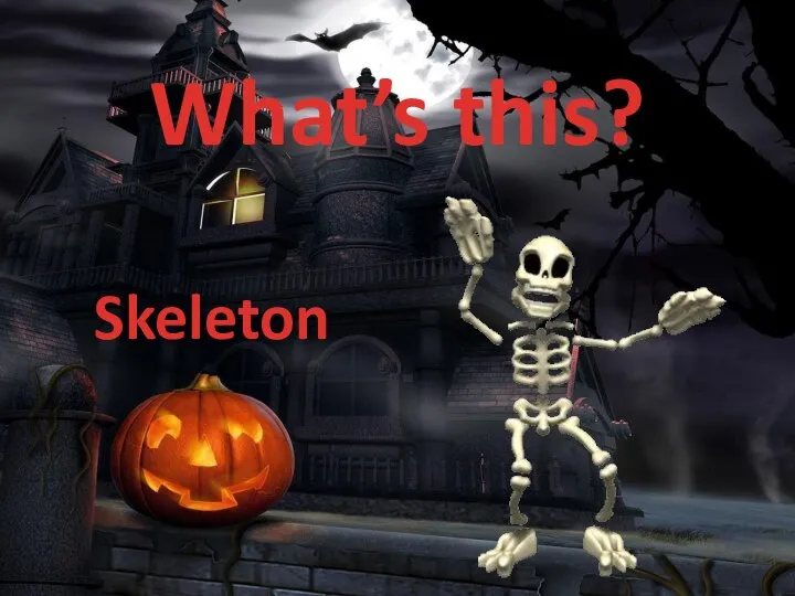 What’s this? Skeleton