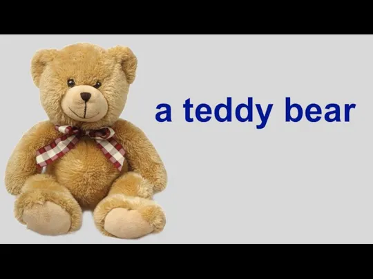 a teddy bear