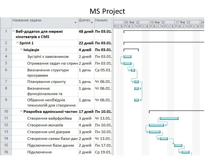 MS Project