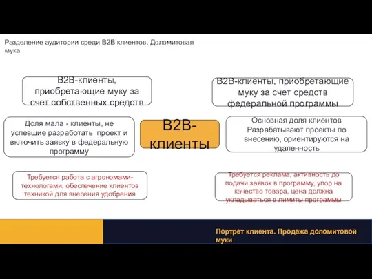 Разделение аудитории среди B2B клиентов. Доломитовая мука Портрет клиента. Продажа доломитовой муки