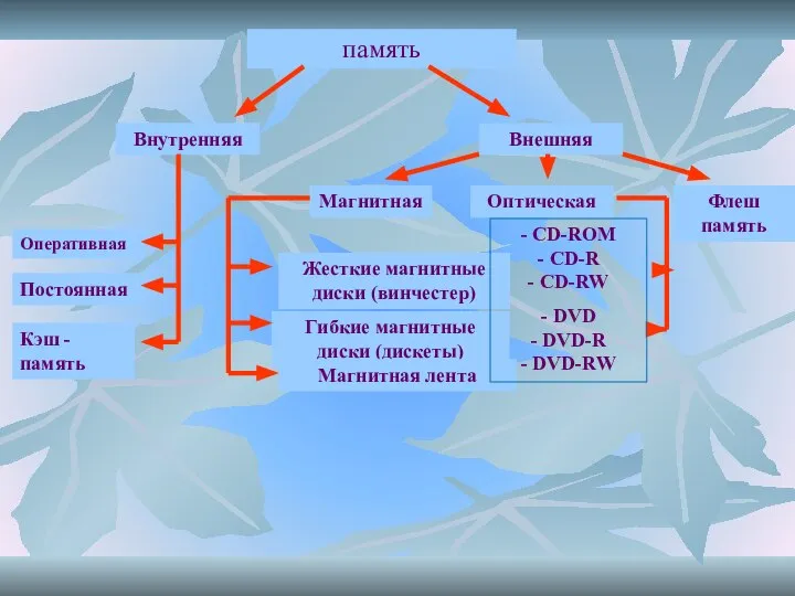 память Внутренняя Внешняя Оперативная Постоянная Кэш - память Магнитная Жесткие магнитные диски