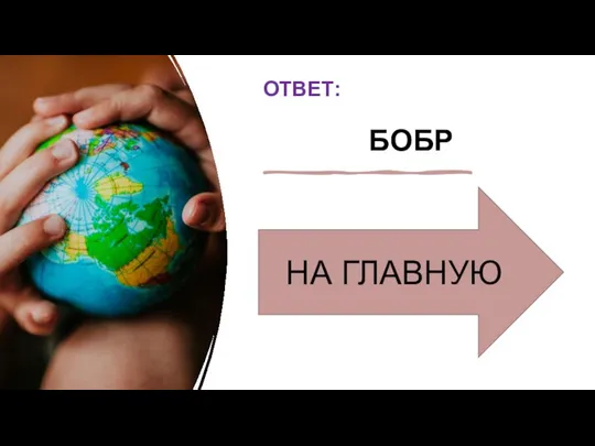 ОТВЕТ: БОБР НА ГЛАВНУЮ