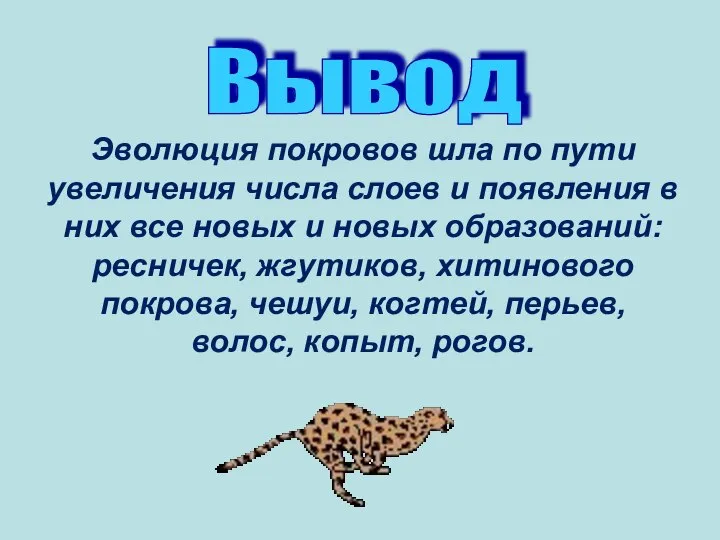 Вывод Эволюция покровов шла по пути увеличения числа слоев и появления в