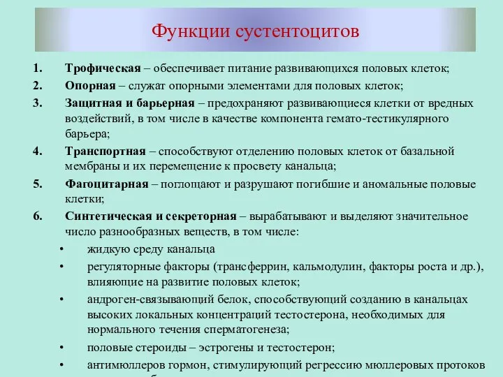 Функции сустентоцитов Трофическая – обеспечивает питание развивающихся половых клеток; Опорная – служат