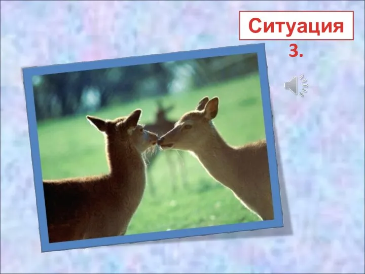 Ситуация 3.