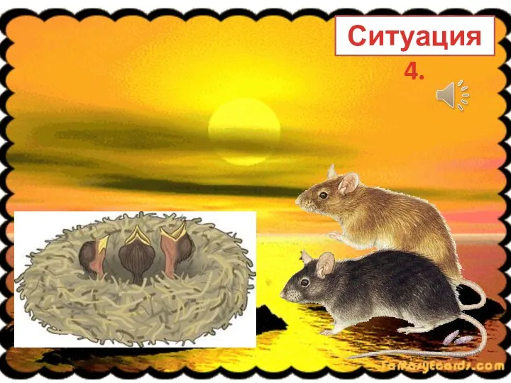 Ситуация 4.