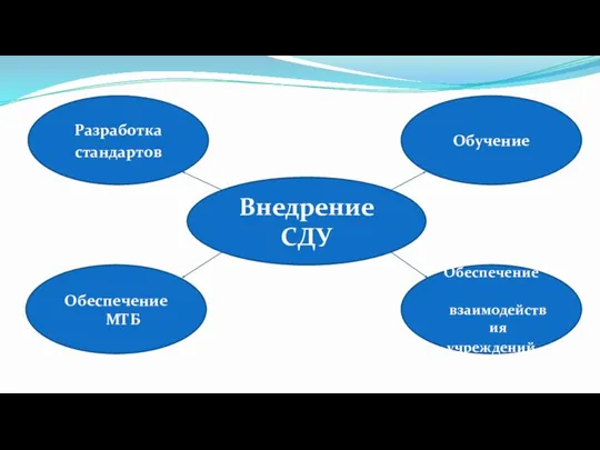 Внедрение СДУ Разработка стандартов Обучение Обеспечение МТБ Обеспечение взаимодействия учреждений