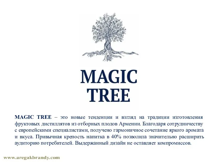 MAGIC TREE – это новые тенденции и взгляд на традиции изготовления фруктовых