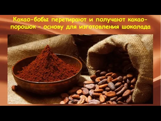 Какао-бобы перетирают и получают какао-порошок – основу для изготовления шоколада