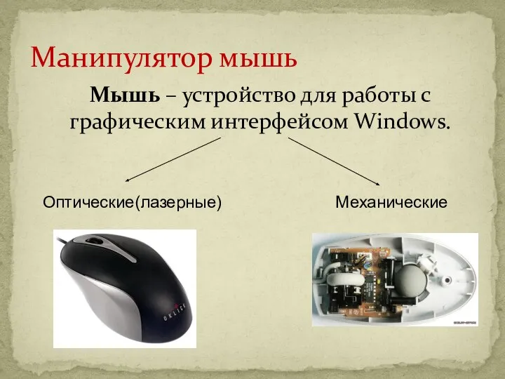 Манипулятор мышь Мышь – устройство для работы с графическим интерфейсом Windows. Оптические(лазерные) Механические