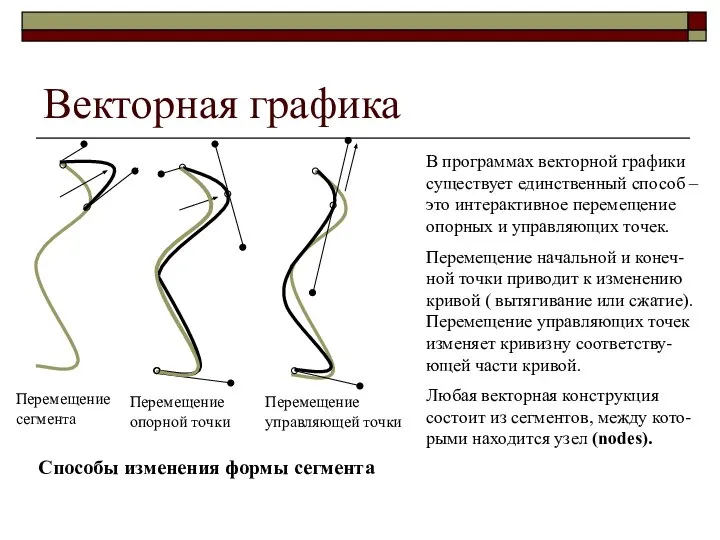 Векторная графика Перемещение сегмента Перемещение опорной точки Перемещение управляющей точки Способы изменения