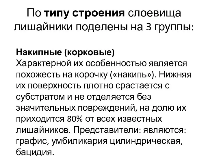 По типу строения слоевища лишайники поделены на 3 группы: Накипные (корковые) Характерной