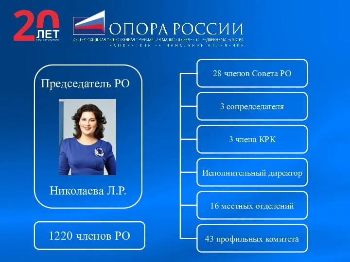 Председатель РО Николаева Л.Р. 28 членов Совета РО 3 сопредседателя 3 члена