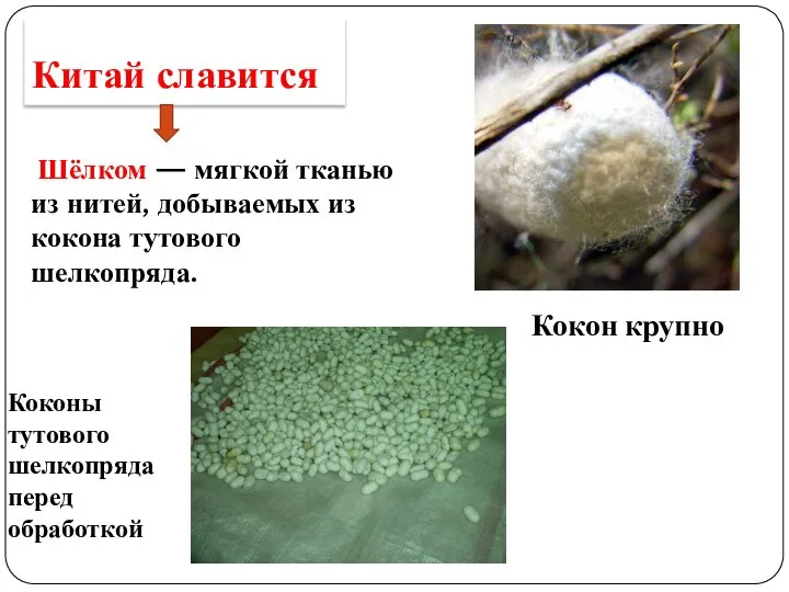 Китай славится Шёлком — мягкой тканью из нитей, добываемых из кокона тутового