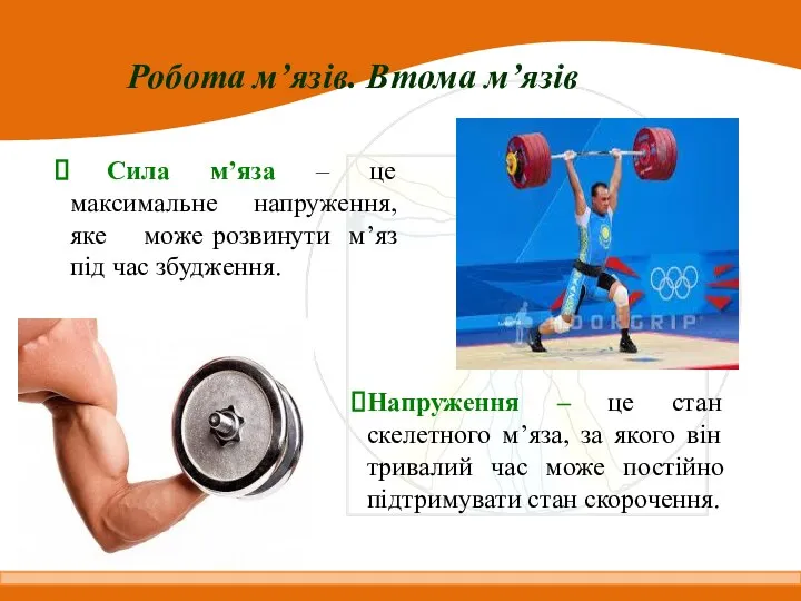 Робота м’язів. Втома м’язів Сила м’яза – це максимальне напруження, яке може