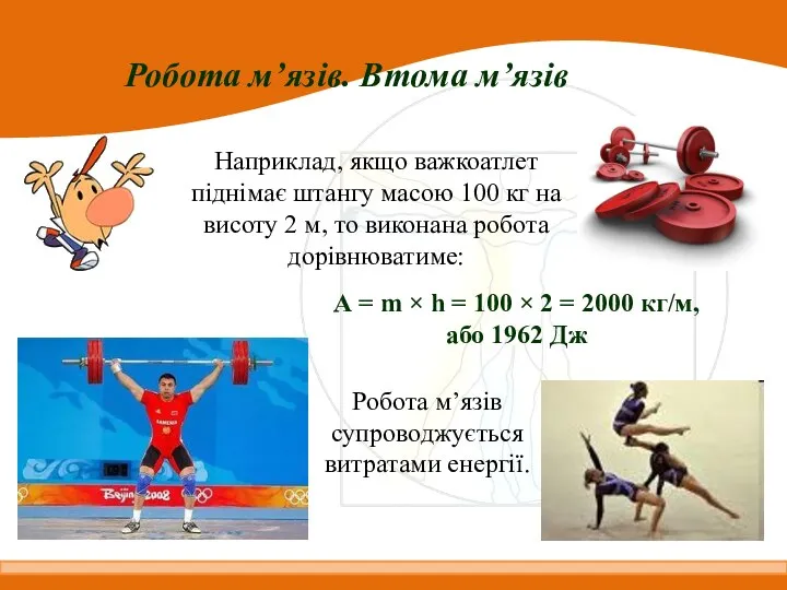 Робота м’язів. Втома м’язів Наприклад, якщо важкоатлет піднімає штангу масою 100 кг