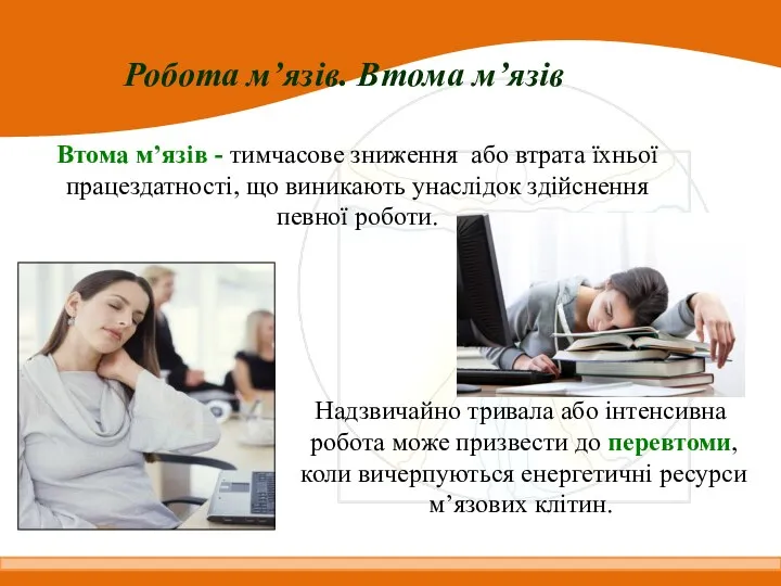 Робота м’язів. Втома м’язів Втома м’язів - тимчасове зниження або втрата їхньої