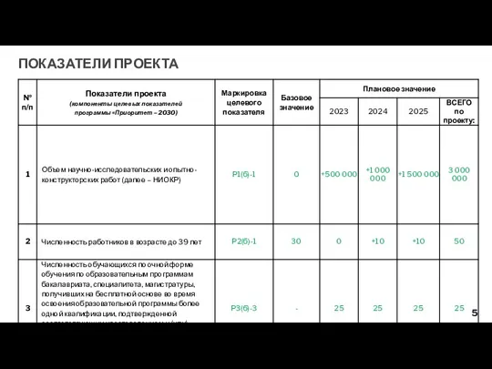 ПОКАЗАТЕЛИ ПРОЕКТА