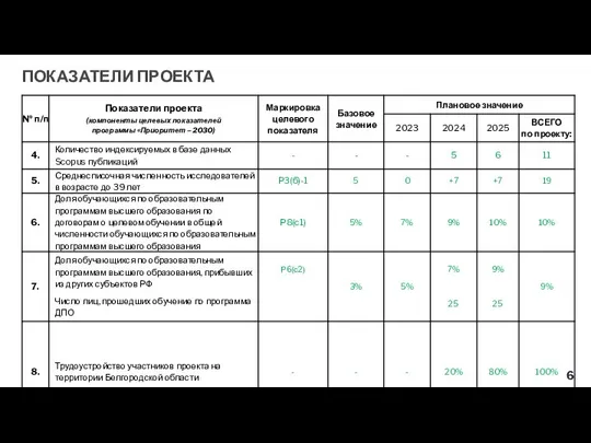 ПОКАЗАТЕЛИ ПРОЕКТА