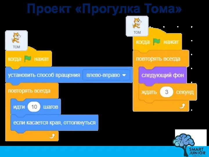 Проект «Прогулка Тома»