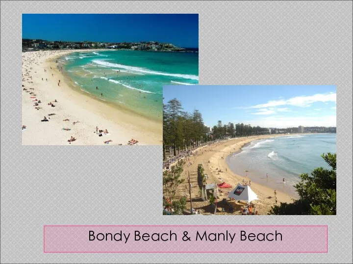 Bondy Beach & Manly Beach