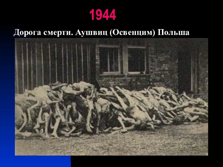 1944 Дорога смерти. Аушвиц (Освенцим) Польша