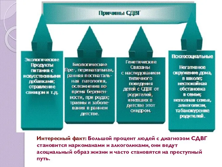 Интересный факт: Большой процент людей с диагнозом СДВГ становится наркоманами и алкоголиками,