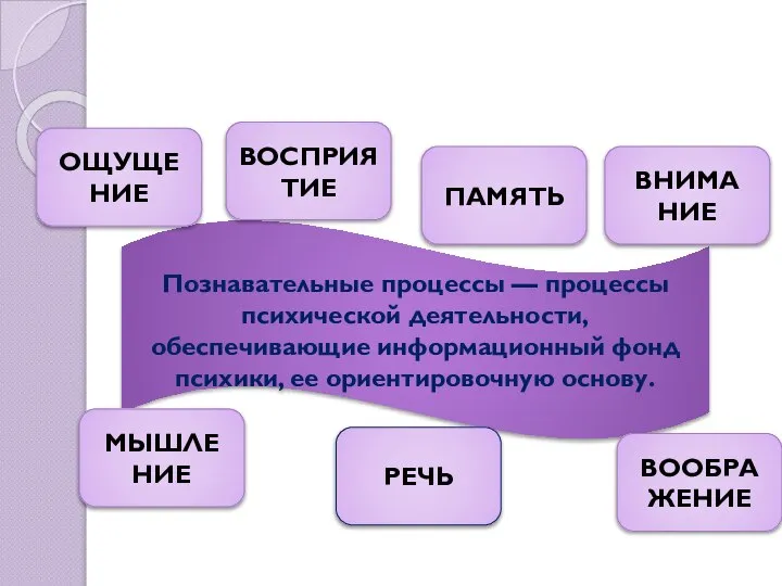 Познавательные процессы — процессы психической деятельности, обеспечивающие информационный фонд психики, ее ориентировочную